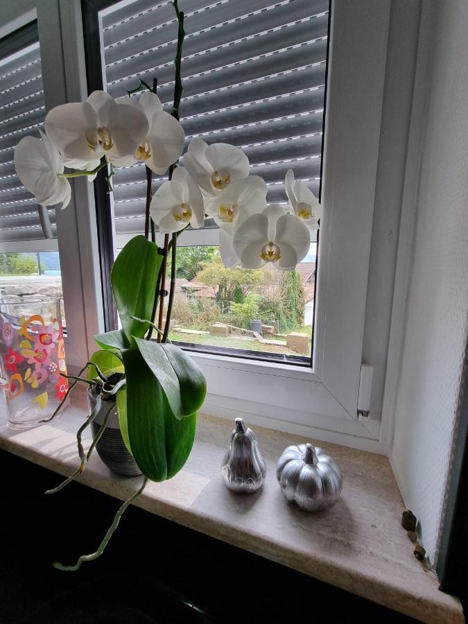 Holiday Apartment Moises Y Ruth Murg  Екстериор снимка